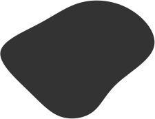 shapse-04